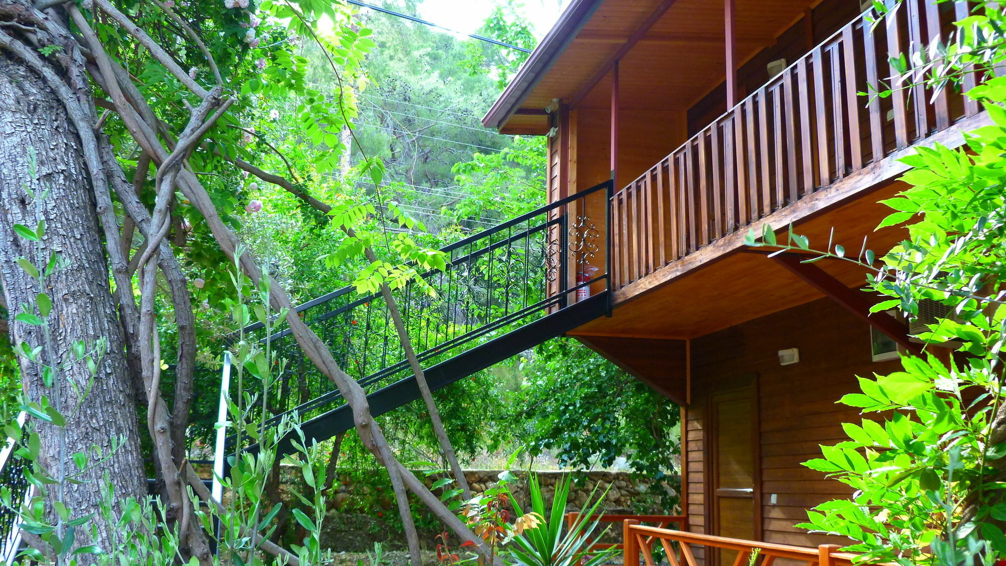 Cirali Simge Holiday Houses Exteriér fotografie