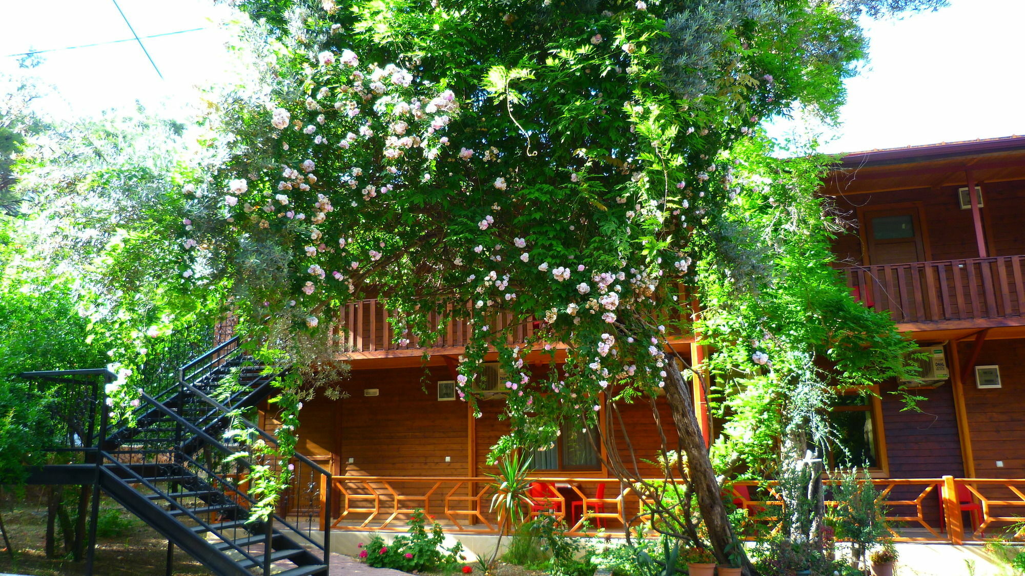 Cirali Simge Holiday Houses Exteriér fotografie